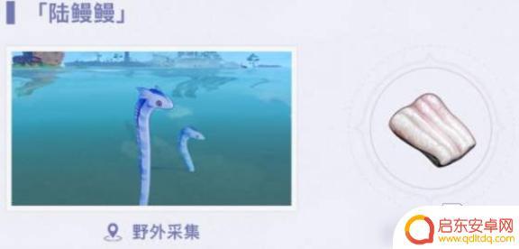 鳗肉怎么获得原神 鳗肉在《原神》中怎么获得