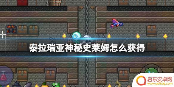 泰拉瑞亚神秘史莱姆刷新条件 如何获得《泰拉瑞亚》神秘史莱姆