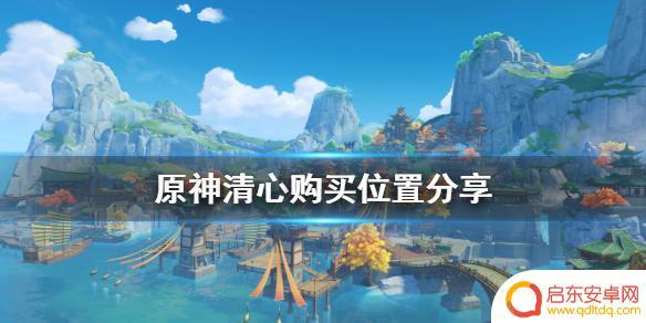 原神在哪里可以买清心(原神在哪里买清心草)