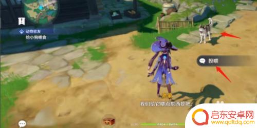 原神如何给小狗喂食 原神小狗怎么喂食