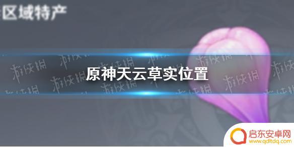 原神雷电将军天云草实在哪里 《原神手游》天云草实位置怎么找