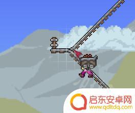 泰拉瑞亚肉后可以直接打猪鲨吗 《泰拉瑞亚》猪鲨打法攻略
