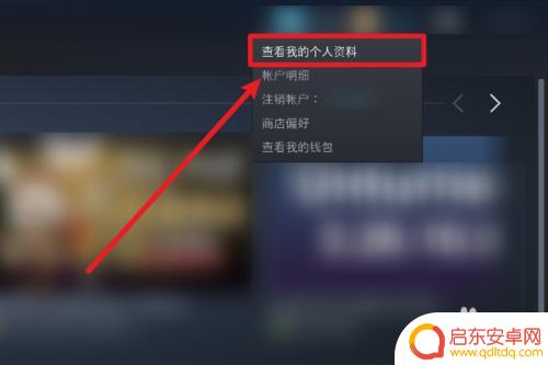 steam非公开 怎样设置Steam中不公开库存游戏