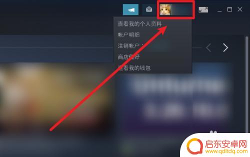 steam非公开 怎样设置Steam中不公开库存游戏