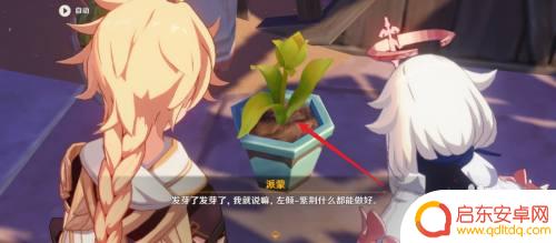 原神怎么用草元素施肥 原神种子施肥任务攻略分享