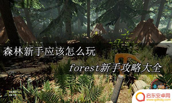 森林攻略steam forest新手攻略详解