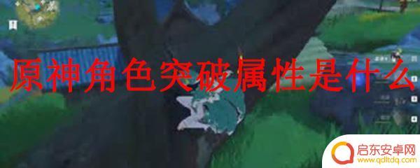 原神所有角色突破加什么 原神角色突破属性详解