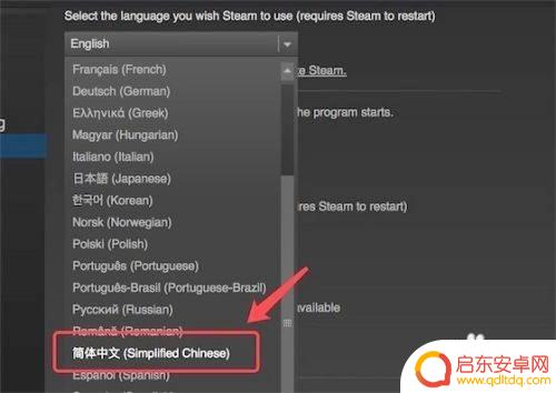 steam英文界面怎么变成中文mac版 Mac版Steam怎么设置中文界面