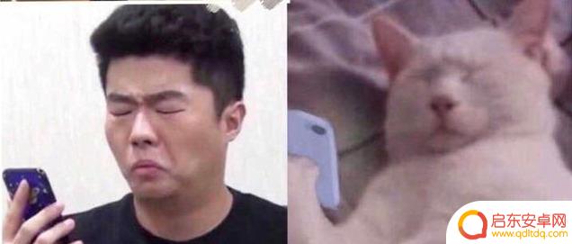 特朗普你玩抖音吗(特朗普你玩抖音吗英文)