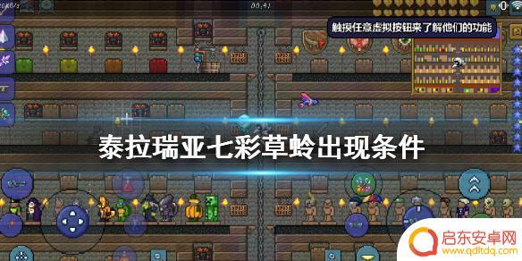 泰拉瑞亚如何捕捉七彩草蛉 泰拉瑞亚七彩草蛉出现要求