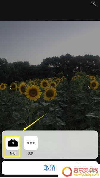 苹果手机相册图片如何添加文字 iPhone照片编辑功能怎么添加文字