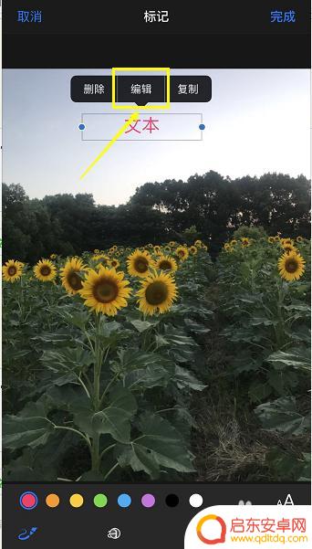 苹果手机相册图片如何添加文字 iPhone照片编辑功能怎么添加文字