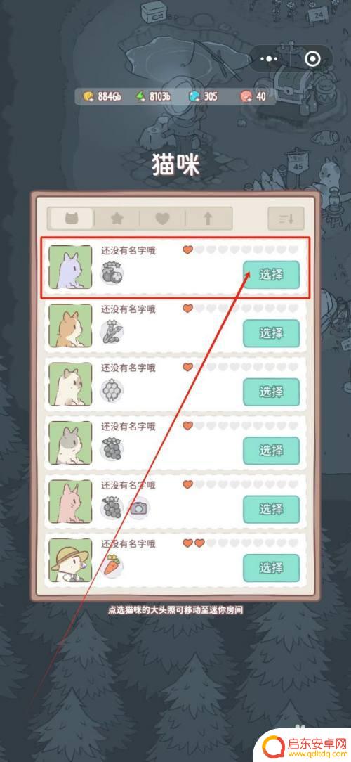 猫咪和汤怎么更换猫咪 汤对猫咪的影响