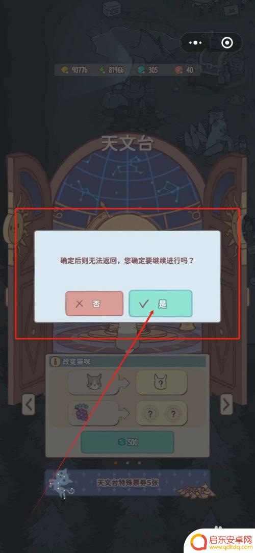 猫咪和汤怎么更换猫咪 汤对猫咪的影响