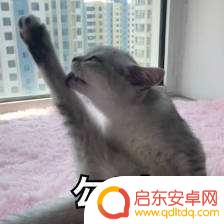 刺激小兵大乱斗怎么2个人玩 抖音《小兵大乱斗》钻石获取攻略分享