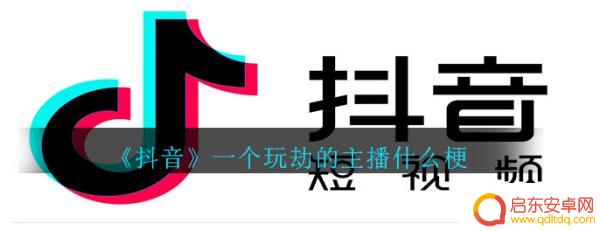 仓鼠猫rookie 抖音(抖音网红仓鼠)