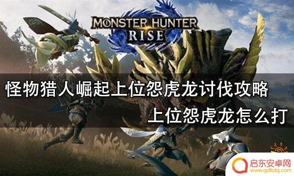 steam怪物猎人上位攻略 怪物猎人崛起上位怨虎龙攻略
