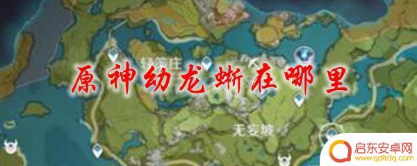 原神炎幼龙 原神幼龙蜥在哪里可以找到