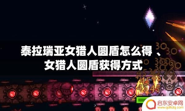 泰拉瑞亚如何获得圆盾 泰拉瑞亚女猎人圆盾如何获得