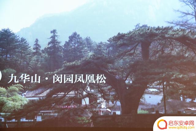 池州晏塘附近抖音(池州晏塘附近抖音公司)