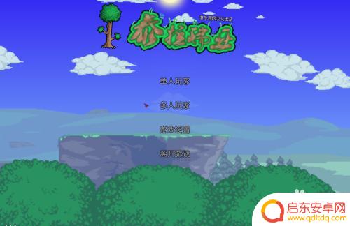 电脑上泰拉瑞亚怎么打不开?解决方法大揭秘!