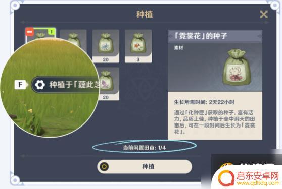 原神尘歌壶种植技巧 《原神》尘歌壶种植玩法图文攻略