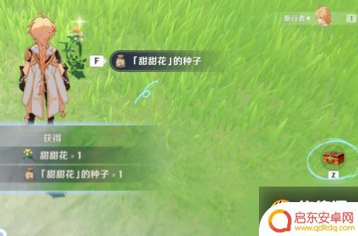 原神尘歌壶种植技巧 《原神》尘歌壶种植玩法图文攻略