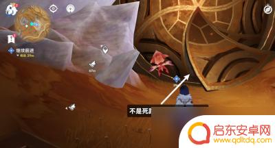 原神中如是灵光悉示现 《原神》如是灵光悉示现任务流程解析