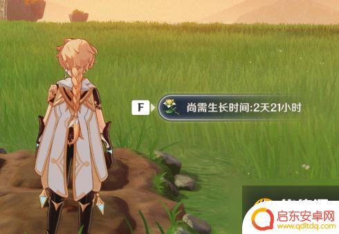 原神尘歌壶种植技巧 《原神》尘歌壶种植玩法图文攻略