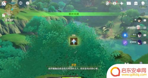 原神蔷薇花开攻略如何获得蔷薇角色及精彩活动指南