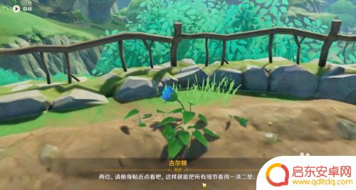 原神蔷薇花开攻略如何获得蔷薇角色及精彩活动指南