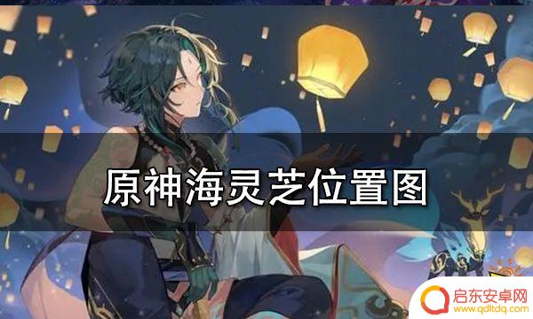 原神海灵芝地点：探索游戏中的海灵芝位置