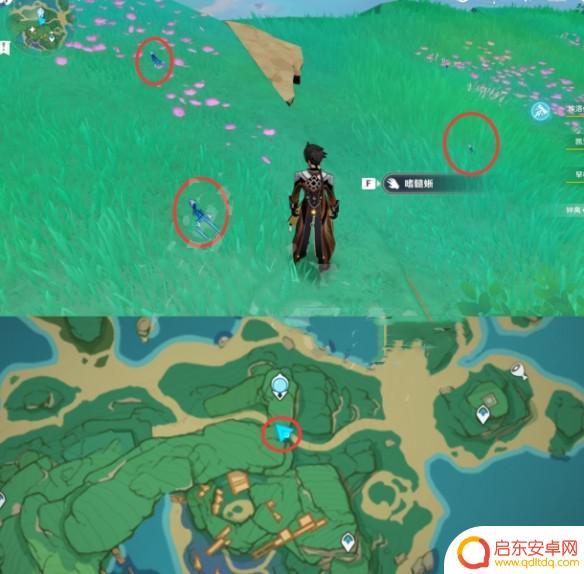 原神巨蜥在哪 原神蜥蜴出现的地点在哪