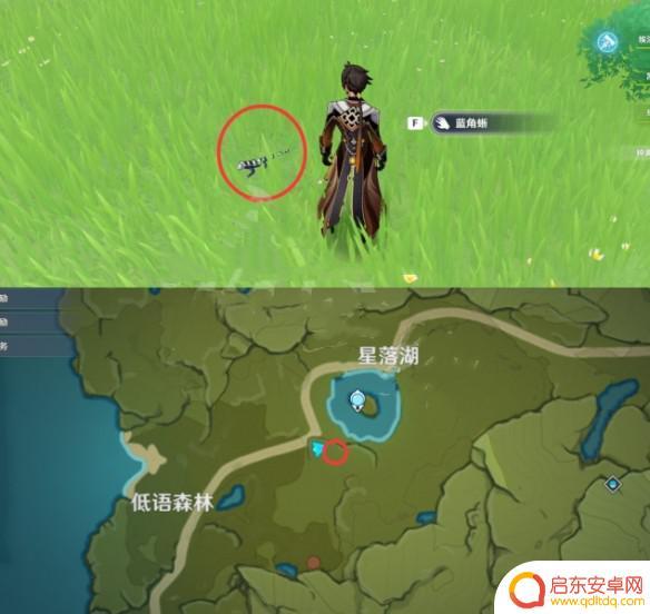 原神巨蜥在哪 原神蜥蜴出现的地点在哪