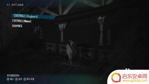 steam鬼泣五怎么改画质 怎样在鬼泣5中改变屏幕分辨率和切换中文界面