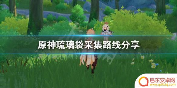 原神琉璃袋在哪里采摘 《原神》琉璃袋怎么采集