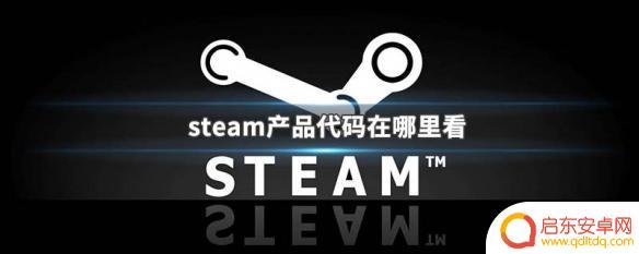 怎么查看steam游戏的产品代码 steam游戏代码在哪里看