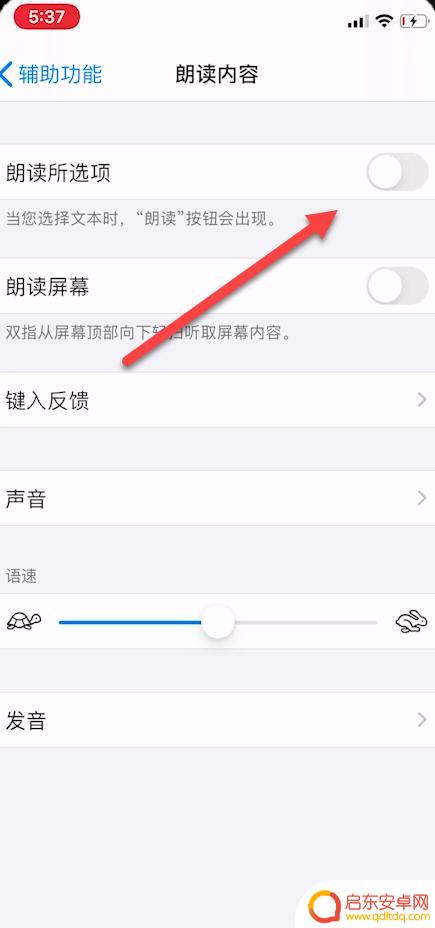 阅读文字怎么苹果手机 iPhone上的文字朗读功能怎么打开
