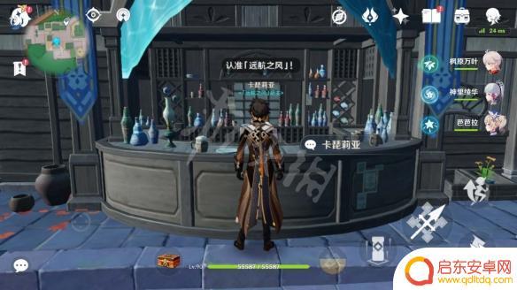蒲公英哪有买原神 原神哪里有卖蒲公英