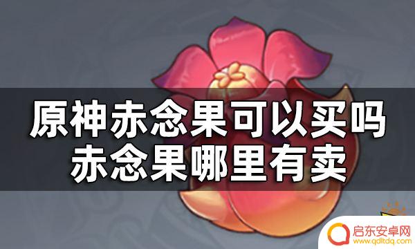 原神赤念果在哪里购买 哪里可以购买到原神赤念果