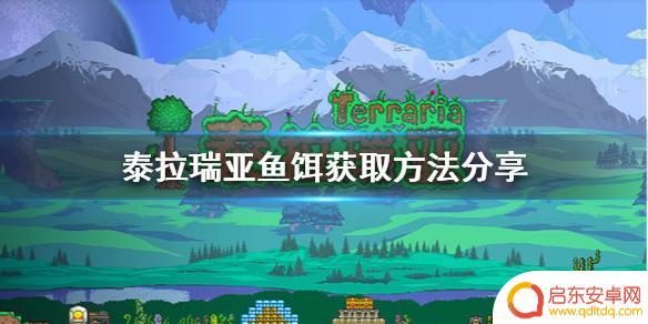 泰拉瑞亚抓鱼饵怎么弄 泰拉瑞亚鱼饵获取方法分享