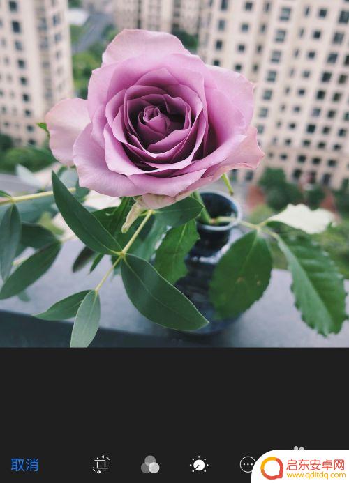 苹果手机如何画矩形 苹果手机怎么在图片上做标记