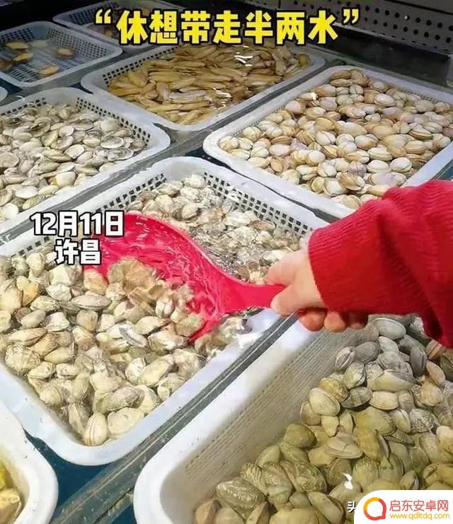 抖音客服总是排队(抖音客服外包)