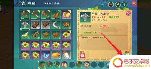 像素创造世界如何把盔甲穿在身上 创造与魔法游戏角色防具装备指南