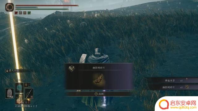 《艾尔登法环》DLC黄金树幽影攻略:全流程全收集全支线攻略大揭秘