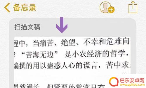 手机如何拍照扫描保存文件 iPhone如何通过应用程序扫描文件和照片