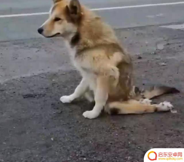 抖音快乐飞奔特效(抖音快乐飞奔特效怎么弄)