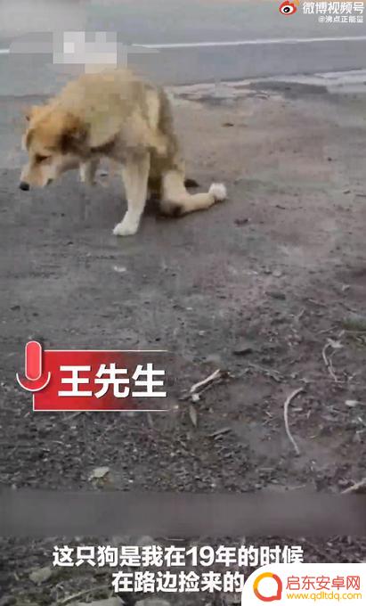 抖音快乐飞奔特效(抖音快乐飞奔特效怎么弄)
