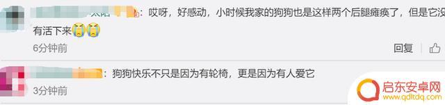 抖音快乐飞奔特效(抖音快乐飞奔特效怎么弄)