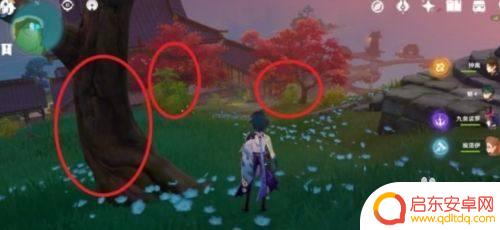 原神枫木具体位置 《原神》枫木掉落位置